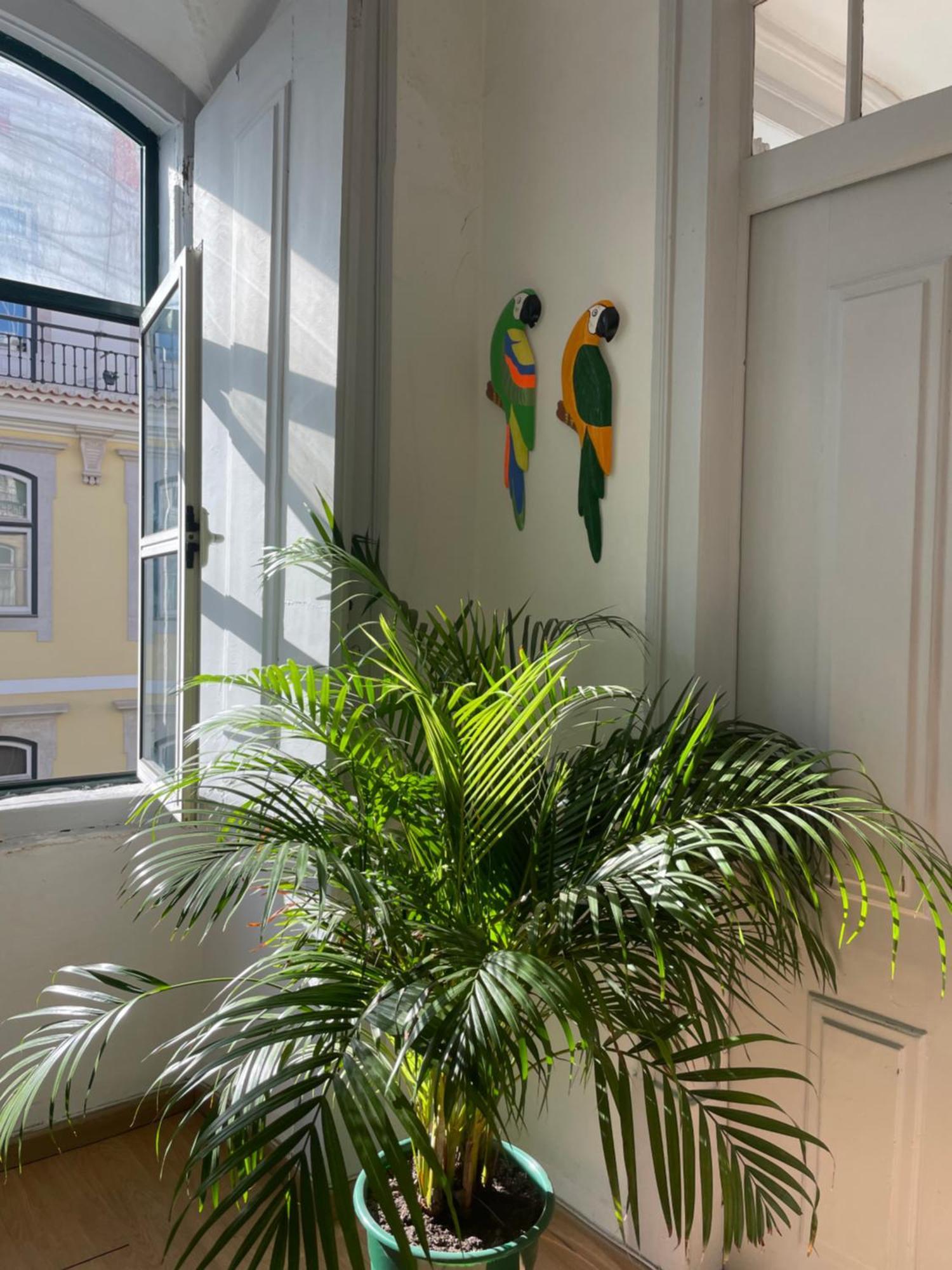 Chiado Home Lisbon Bagian luar foto